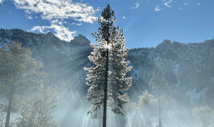 Apple celebrates America’s national parks